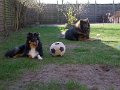 rudel (7)